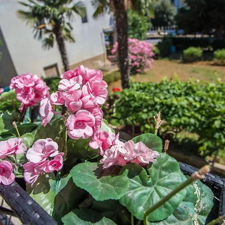 Marisol Rovinj Apartman *